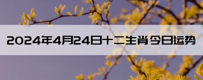 2024424ʮФ
