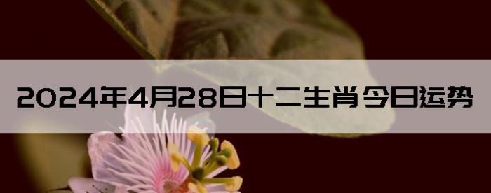 2024428ʮФ
