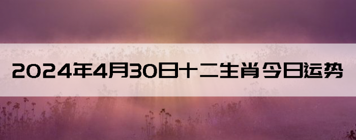 2024430ʮФ