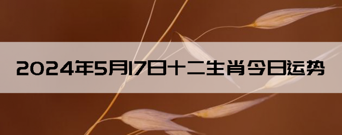 2024517֣ʿ12Ф