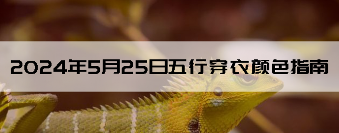 2024525дɫָ