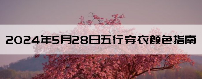 2024528дɫָ