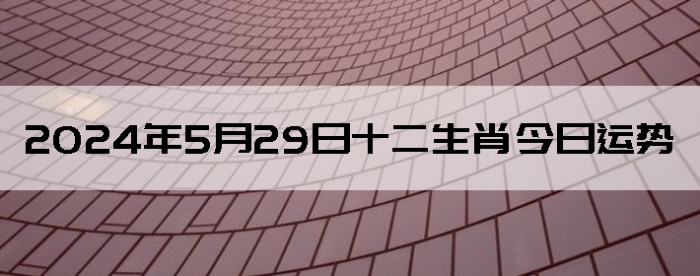 2024529֣ʿ12Ф