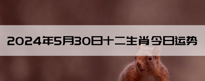 2024530֣ʿ12Ф