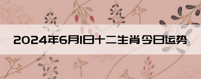 202461֣ʿ12Ф