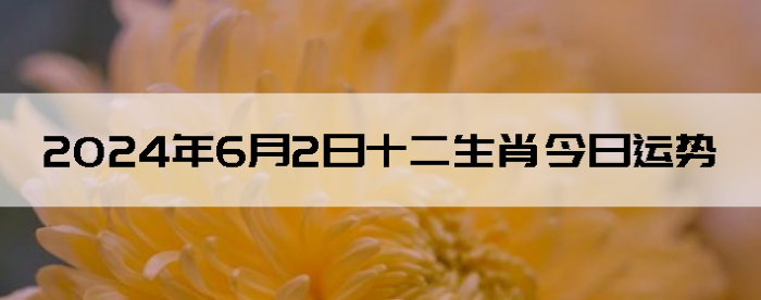 202462֣ʿ12Ф