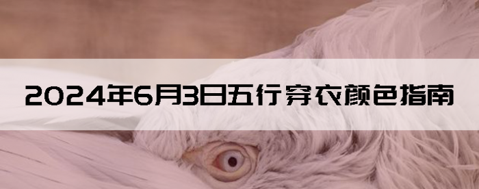 202463дɫָ