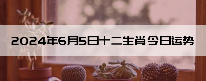 202465֣ʿ12Ф