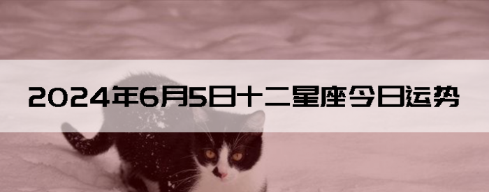 202465ʮ