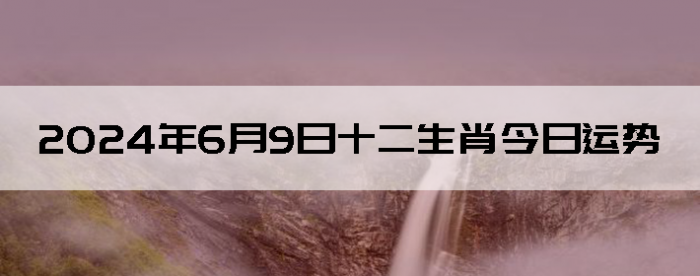 202469֣ʿ12Ф