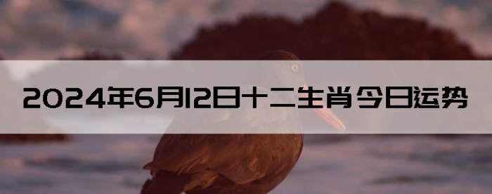2024612֣ʿ12Ф