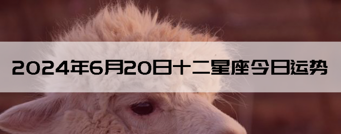 2024620ʮƲѯ
