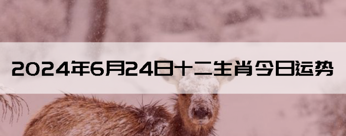 2024624֣ʿ12Ф