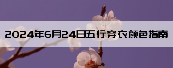 2024624дɫָ