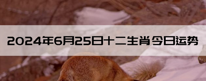 2024625֣ʿ12Ф