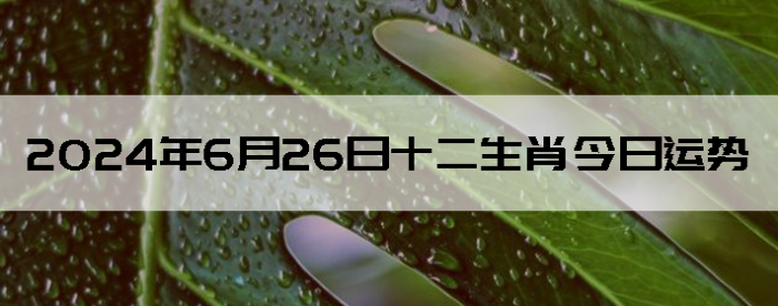 2024626֣ʿ12Ф
