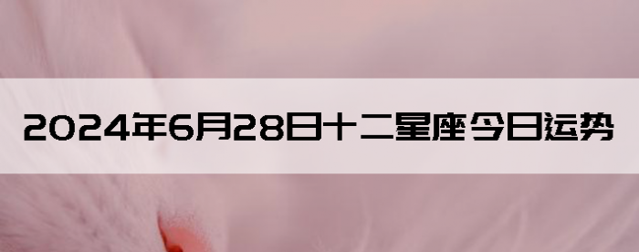 2024628ʮƲѯ