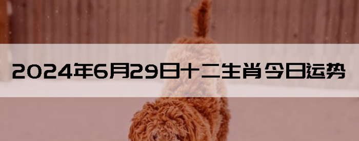2024629֣ʿ12Ф