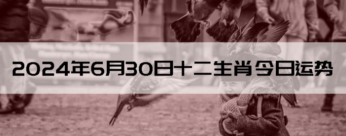 2024630֣ʿ12Ф