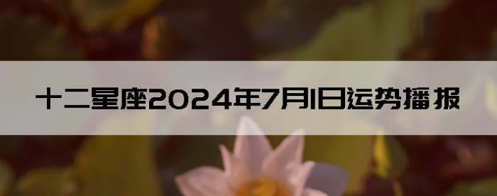 202471ʮƲѯ