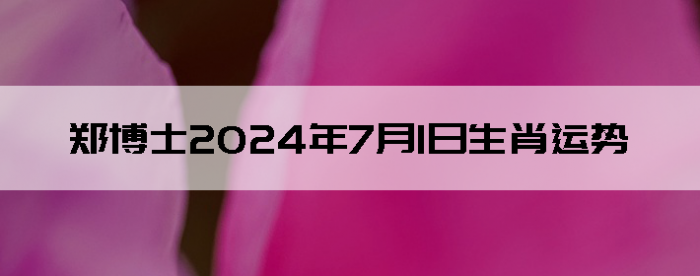 202471֣ʿ12Ф