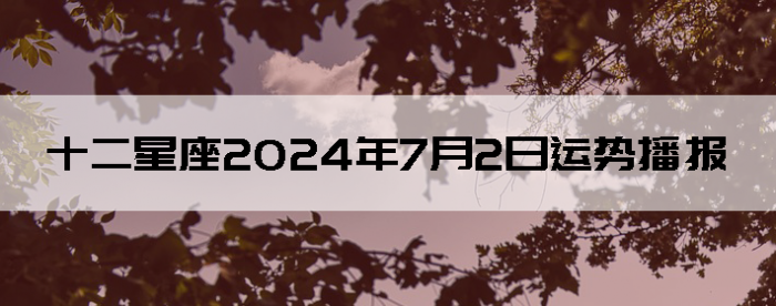 202472ʮƲѯ