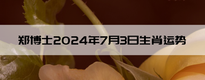 202473֣ʿ12Ф
