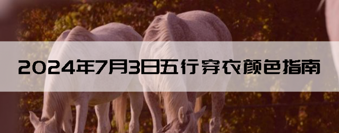 202473дɫָ
