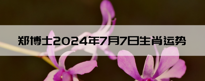 202477֣ʿ12Ф