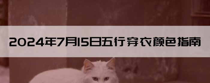 2024715дɫָ