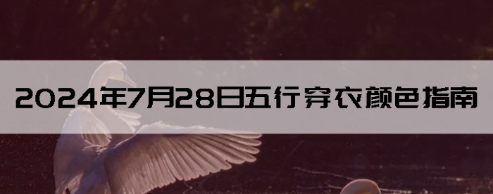 2024728дɫָ