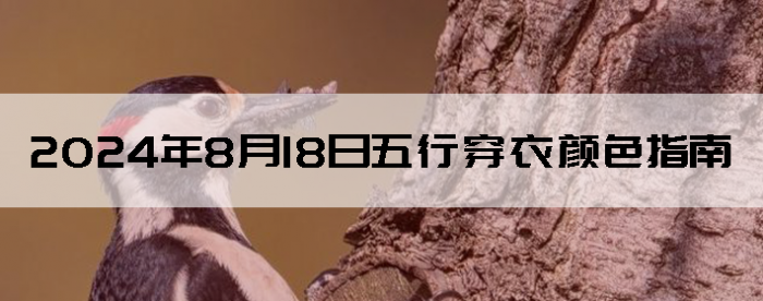 2024818дɫָ