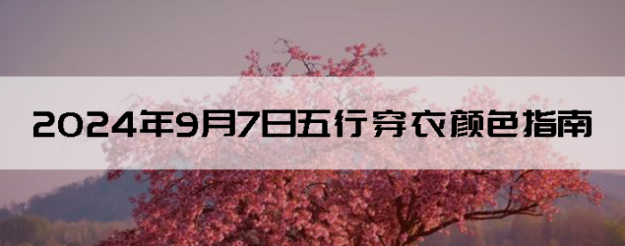 202497дɫָ