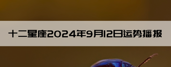 2024912ʮƲѯ