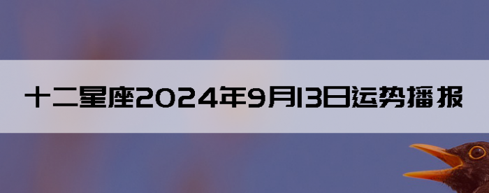 2024913ʮƲѯ