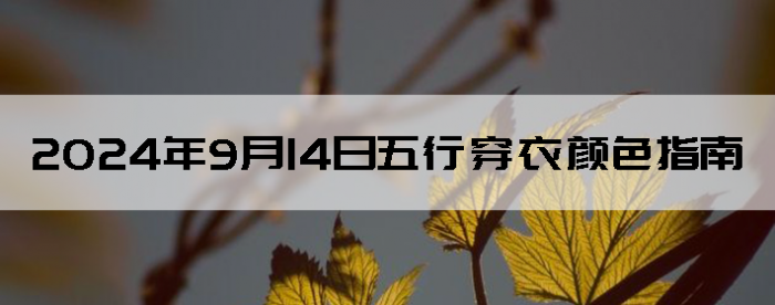 2024914дɫָ