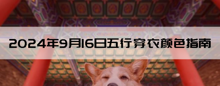 2024916дɫָ