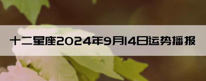 2024914ʮƲѯ