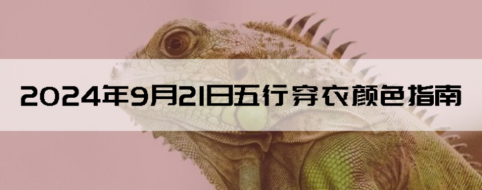 2024921дɫָ