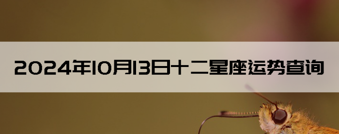 20241013ʮƲѯ
