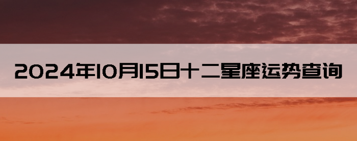 20241015ʮƲѯ