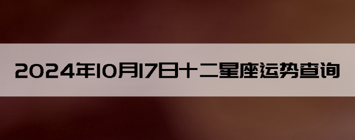20241017ʮƲѯ