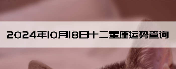 20241018ʮƲѯ
