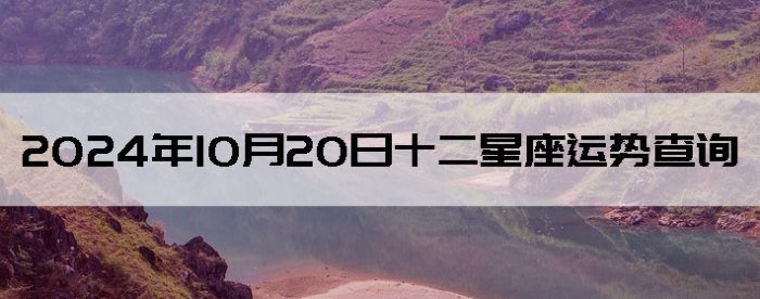 20241020ʮƲѯ