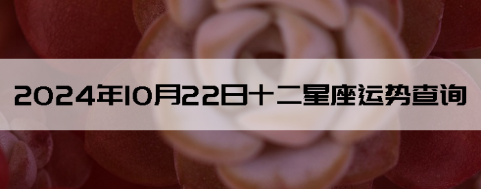 20241022ʮƲѯ