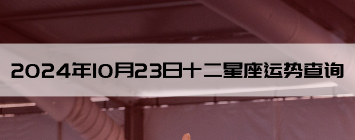 20241023ʮƲѯ