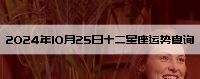 20241025ʮƲѯ