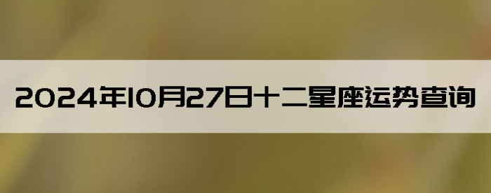 20241027ʮƲѯ