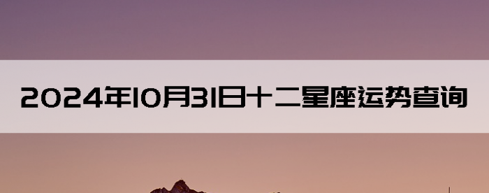 20241031ʮƲѯ