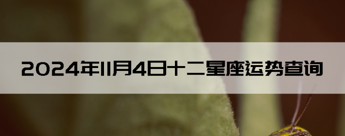 2024114ʮƲѯ